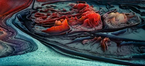 Paint landscapes dettaglio del progetto