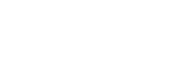 The Lindis