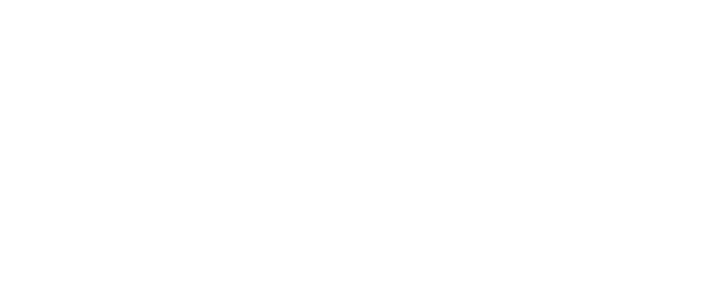 Al Rugaib Holding