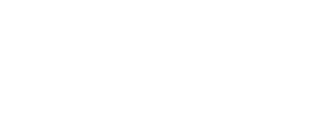Designlab Experience
