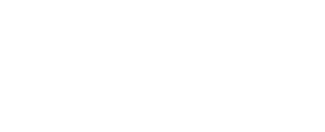 Florence Biennale