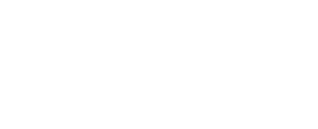 Parametric Architecture